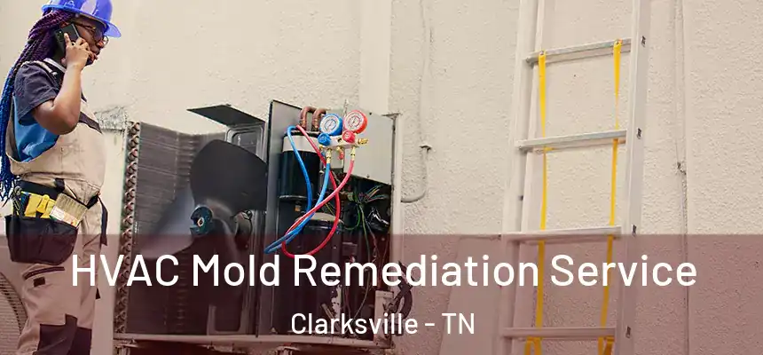  HVAC Mold Remediation Service Clarksville - TN