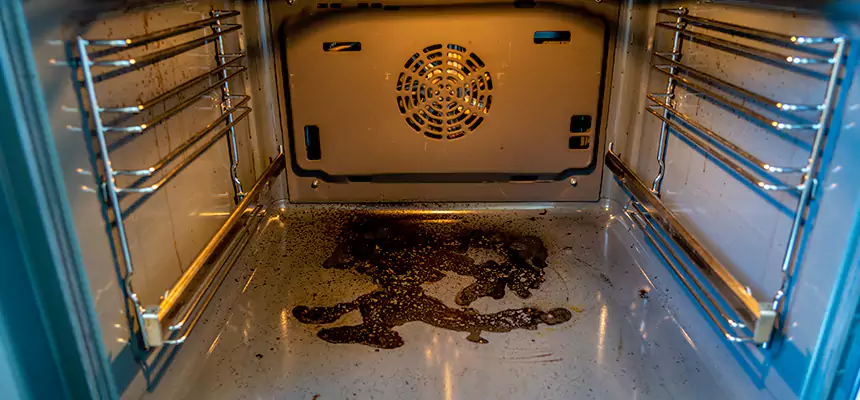 Our Dryer Vent Mold Cleaning Services in Clarksville, TN