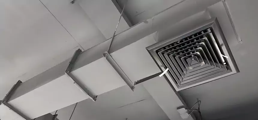 Our Rodent Droppings In Vents Services in Clarksville, TN