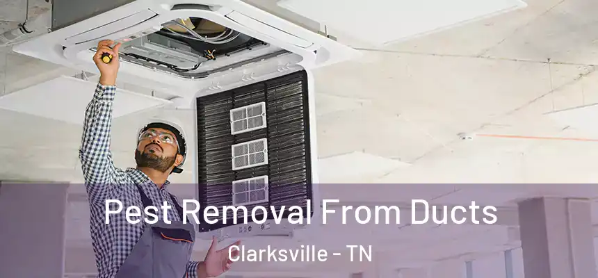  Pest Removal From Ducts Clarksville - TN