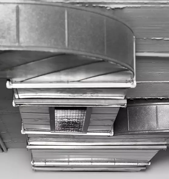 Professional Air Duct Pest Removal in Clarksville, TN