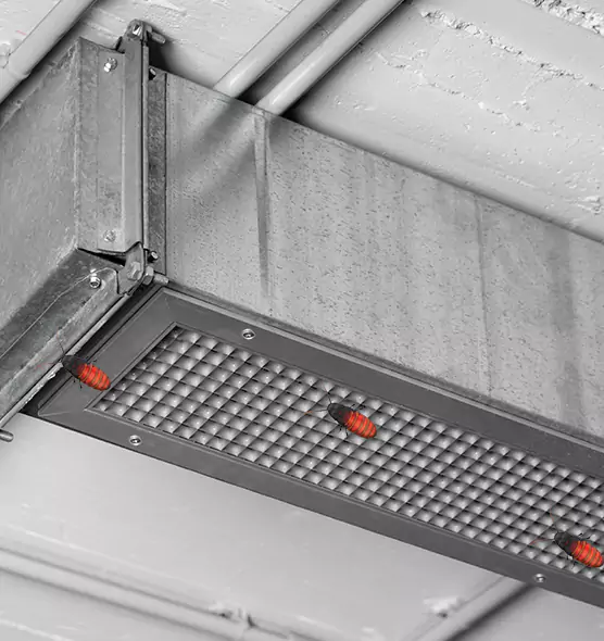 Affordable Insect Removal from Air Ducts in Clarksville, TN