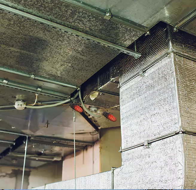 Why Homeowners & Businesses Trust Us Clarksville, TN?