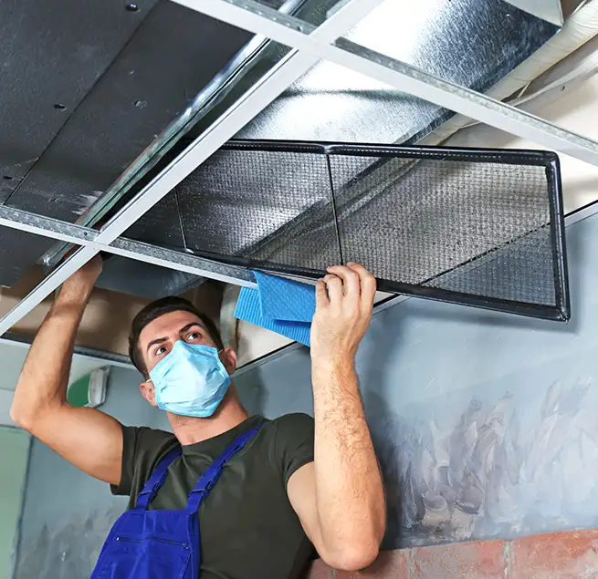 Why Homeowners & Businesses Trust Us in Clarksville, TN?