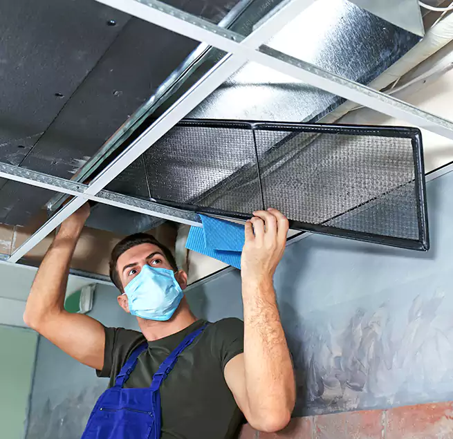 Why Homeowners Businesses Trust Us in Clarksville, TN